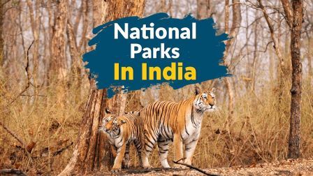 http://www.hindisarkariresult.com/india-famous-national-parks/