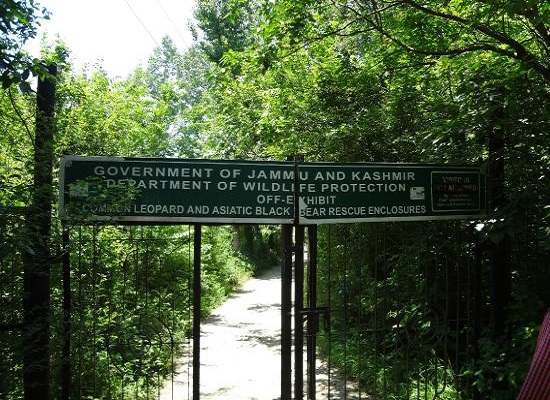 Dachigam wildlife sanctuary Srinagar 