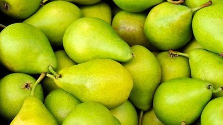 http://www.hindisarkariresult.com/nashpati-pears-in-hindi/