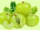 http://www.hindisarkariresult.com/amla-fruit-in-hindi/