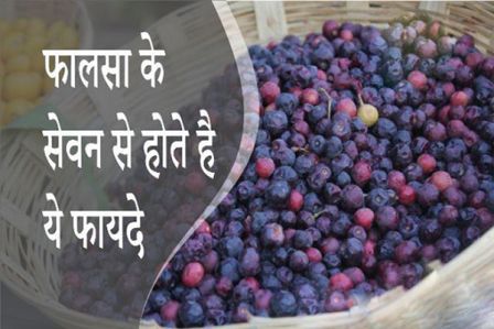 http://www.hindisarkariresult.com/falsa-fruit-in-hindi/