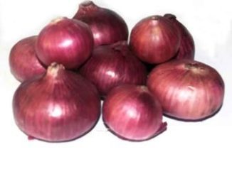 http://www.hindisarkariresult.com/pyaj-onion-in-hindi