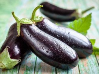 http://www.hindisarkariresult.com/baingan-brinjal-in-hindi