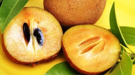 http://www.hindisarkariresult.com/cheeku-sapodilla-in-hindi/