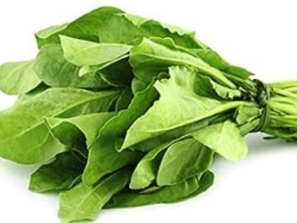 http://www.hindisarkariresult.com/palak-spinach-in-hindi