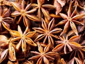 http://www.hindisarkariresult.com/star-anise-in-hindi